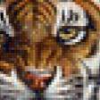 Предпросмотр схемы вышивки «Тигр» (№447055)