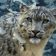 Схема вышивки «снежный леопард»