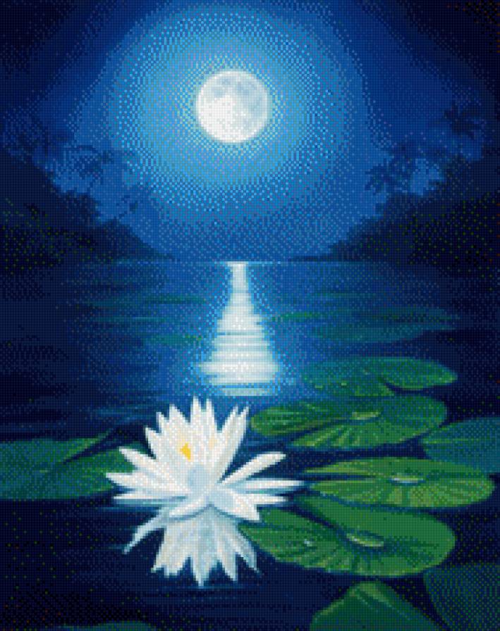 лотос - вода, вечер, просто красиво, природа, лотос, луна - предпросмотр