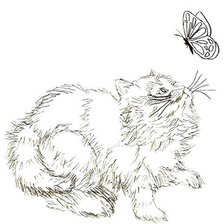 Схема вышивки «котик и бабочка»