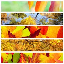 Схема вышивки «Осень - пора ярких красок..»