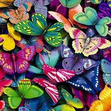 Схема вышивки «Яркие бабочки =)»