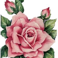 Оригинал схемы вышивки «Роза» (№449532)