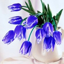 Тюльпаны синие