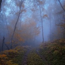 Схема вышивки «Туман в лесу»
