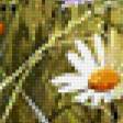Предпросмотр схемы вышивки «поле с цветами» (№457462)