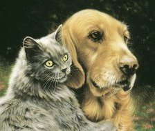 Схема вышивки «кот и пес»