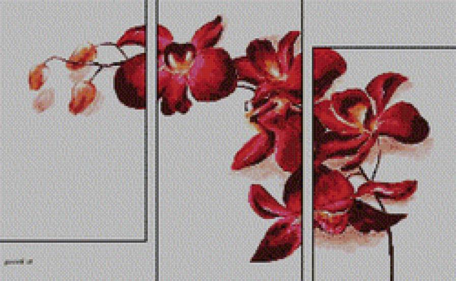 Триптих "Орхидеи" - цветы, триптих - предпросмотр
