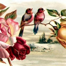 Оригинал схемы вышивки «птицы на ветке» (№458726)