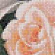 Предпросмотр схемы вышивки «розы с росой» (№459524)