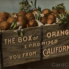Схема вышивки «The Box of Oranges I Promised you from California»