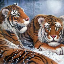 Оригинал схемы вышивки «Тигры в зимнем лесу» (№461433)