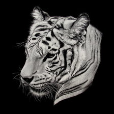 Схема вышивки «триптих тигр часть 2»