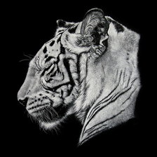 Схема вышивки «триптих  тигр часть 1»