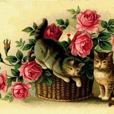 Схема вышивки «котята в розах»
