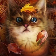Схема вышивки «Осенний котенок»