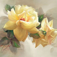 Розы Jill Kirstein