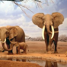 Схема вышивки «Семья слонов»
