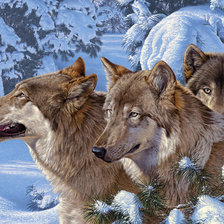 Схема вышивки «Волки зимой»