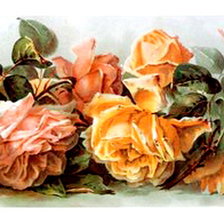 Схема вышивки «розы часть 2»