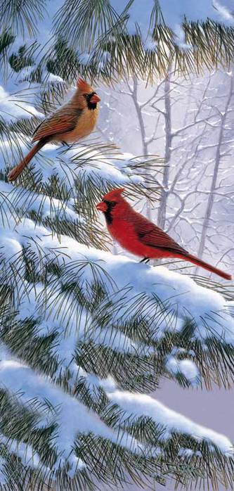 Серия "Птицы" - кардиналы, птицы, зима - оригинал