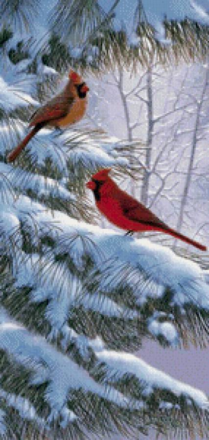 Серия "Птицы" - кардиналы, птицы, зима - предпросмотр