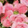 Предпросмотр схемы вышивки «чайные розы» (№477094)