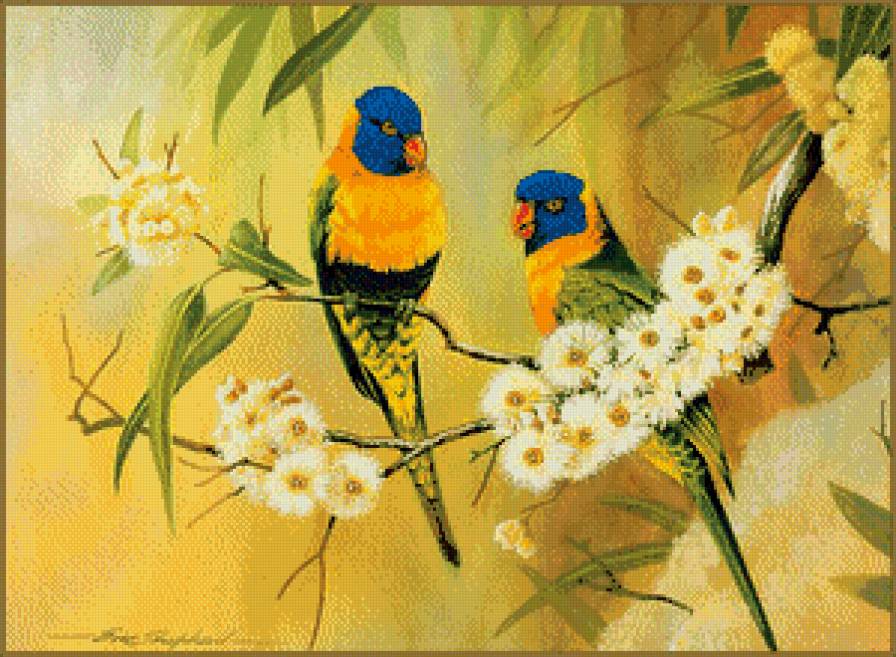 Серия "Птицы" - попугаи, птицы, цветы - предпросмотр