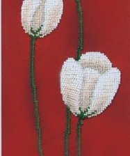 Схема вышивки «Белые тюльпаны на красном фоне»