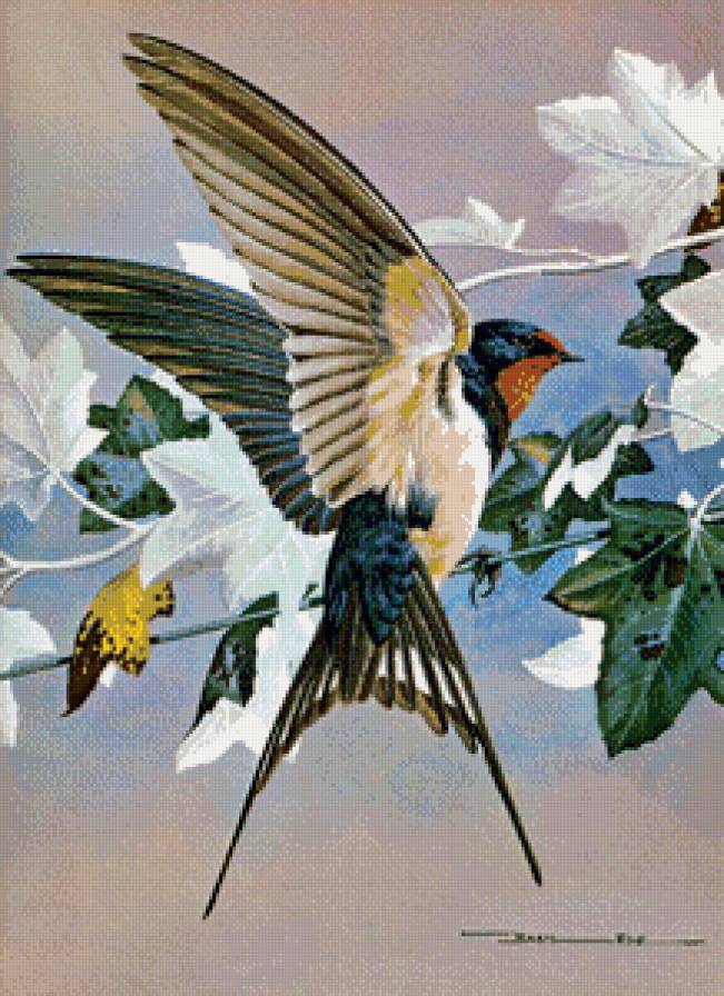 Серия "Птицы" - цветы, птицы, ласточки - предпросмотр