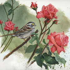 Схема вышивки «птицы и цветы»