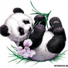 Схема вышивки «Детеныш панды»