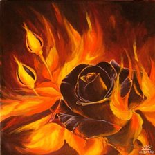 Огненная роза*3