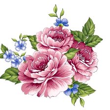Оригинал схемы вышивки «Прекрасные цветы» (№480480)