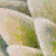 Предпросмотр схемы вышивки «лилии и стрекоза» (№481948)