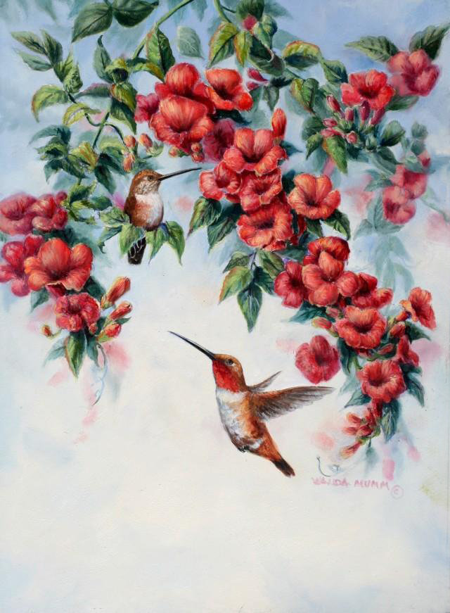 Серия "Птицы" - колибри, цветы, птицы - оригинал