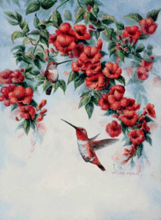 Серия "Птицы" - колибри, цветы, птицы - предпросмотр
