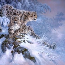 Схема вышивки «леопарды в зимнем лесу»