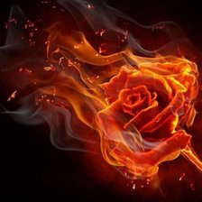 Схема вышивки «Огненная роза»
