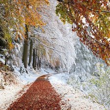 Схема вышивки «Лес, Бавария зимой»