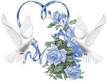 любовь и голуби - голуби, пара, свадьба, розы, птицы, сердце, синие цветы, любовь - оригинал