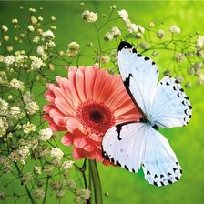 Схема вышивки «Цветы с бабочкой»