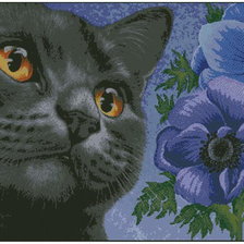 Схема вышивки «Кошачья мордочка в цветах»