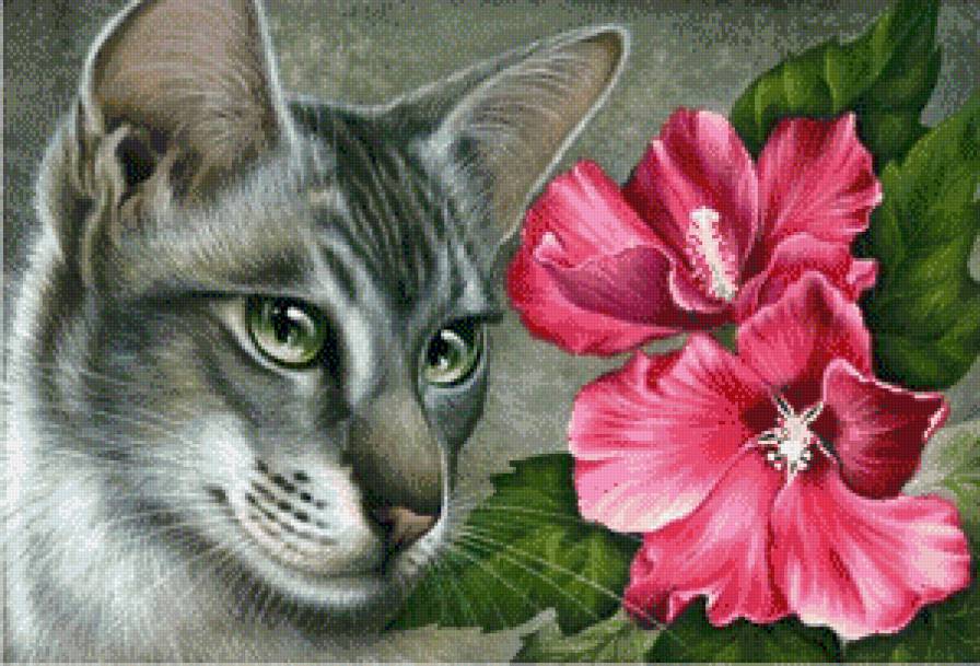 кошки и цветы - кот, домашние животные, кошка, гибискус, кошки, розовые цветы - предпросмотр