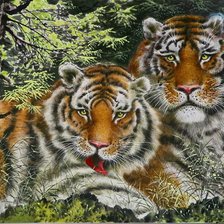 Оригинал схемы вышивки «тигры» (№486741)