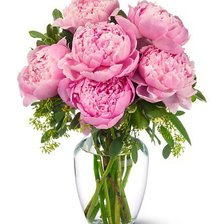 Схема вышивки «пионы розовые в вазе»