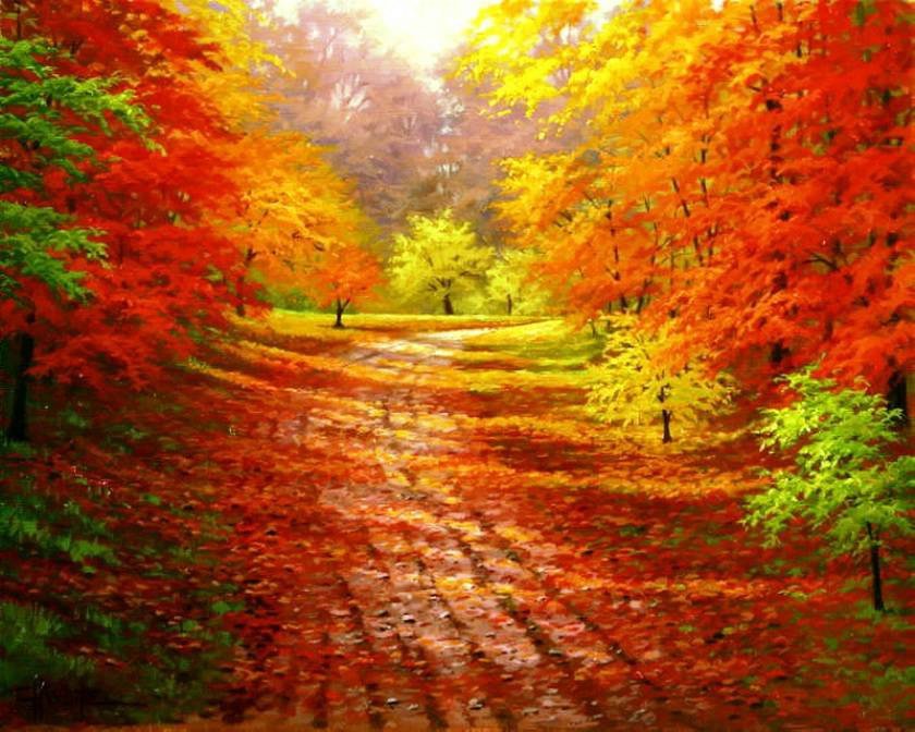 солнечная осень - пейзаж, краски, природа, солнце, осень - оригинал