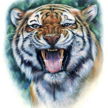 Оригинал схемы вышивки «тигр» (№489373)