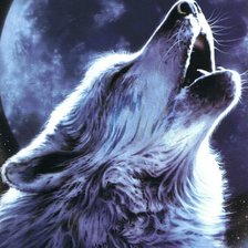 Оригинал схемы вышивки «Воющий волк» (№490333)