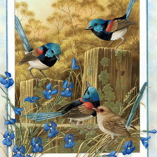Оригинал схемы вышивки «Птицы» (№492191)